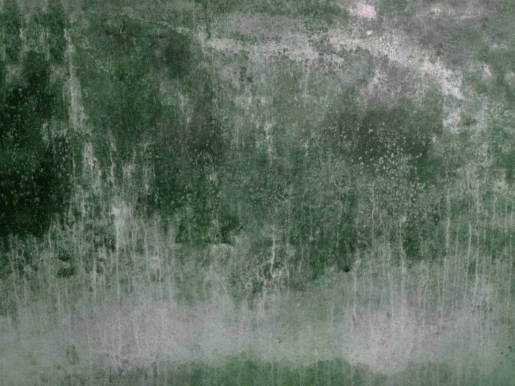 Old weathered green wall