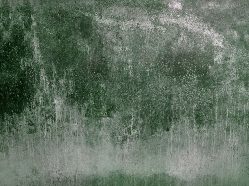 Old weathered green wall