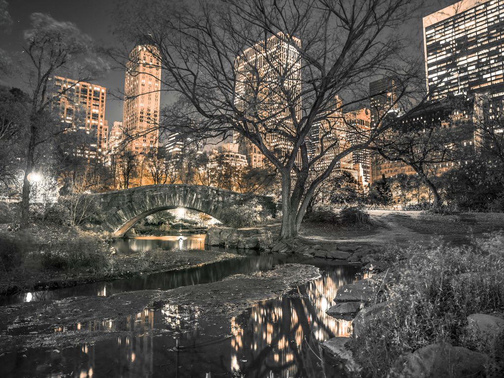 Central park in the evening