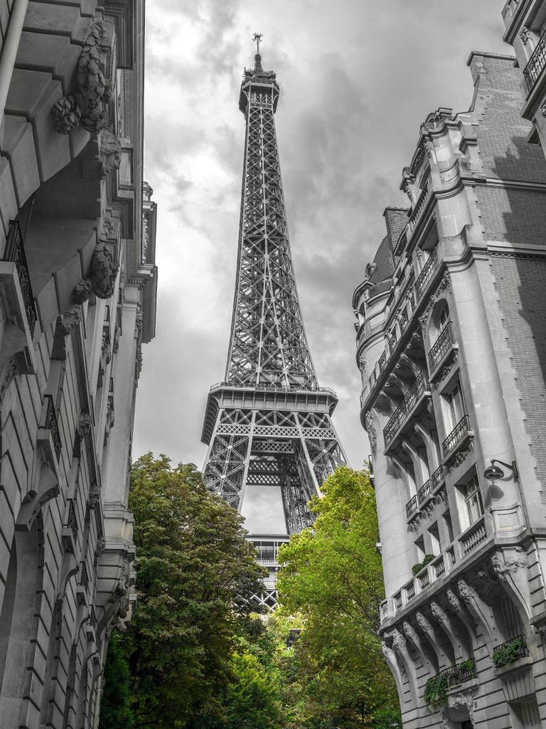 Eiffel Tower black and white