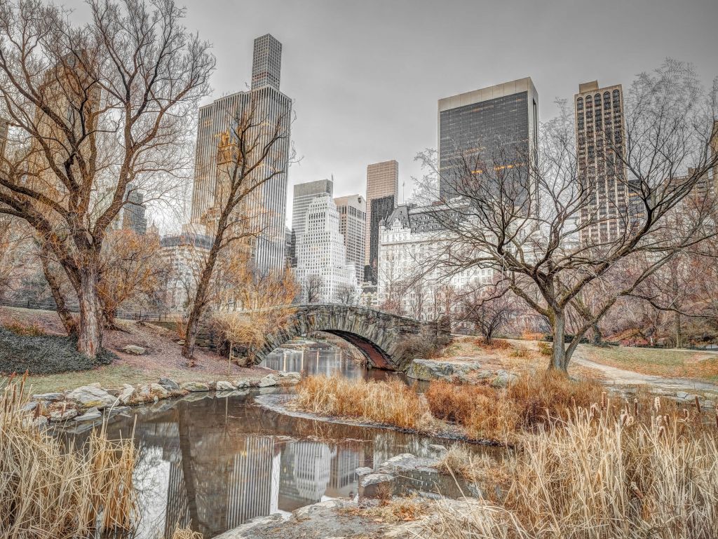 Central park in winter