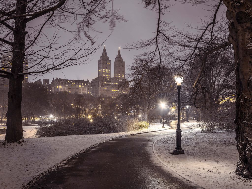 Snowy Central Park