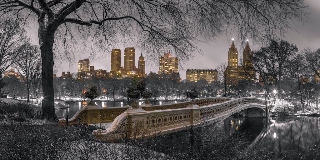 Central park and Manhattan