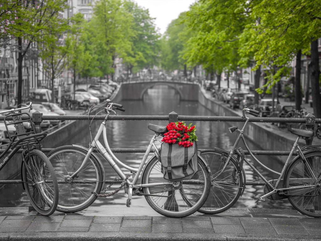 Bicycle with flowers