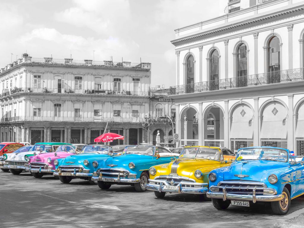 Coloured cars