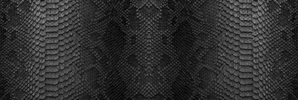 Snakeskin