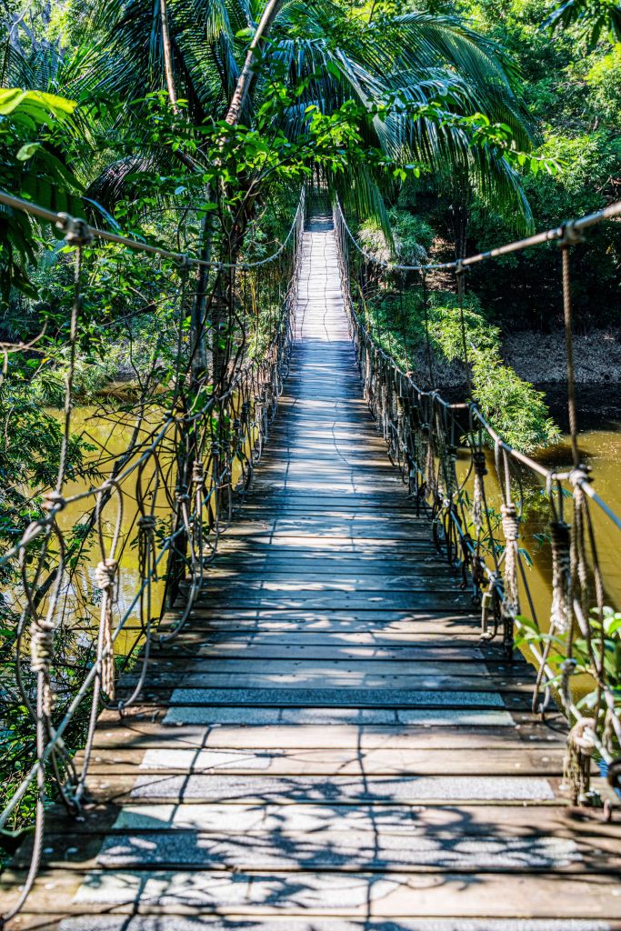 Suspension bridge