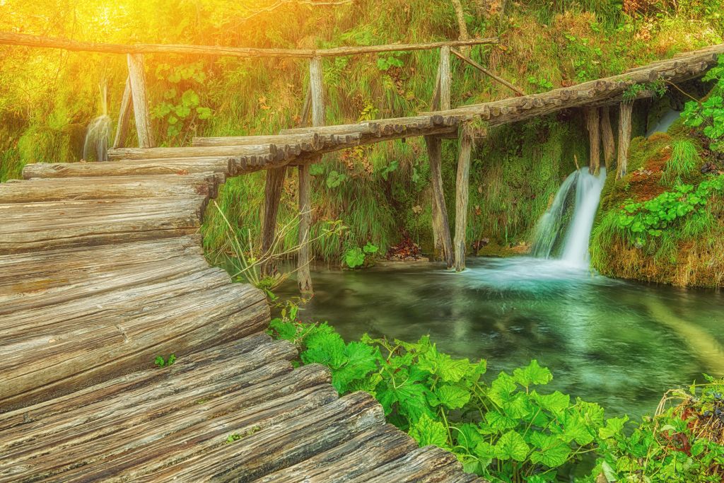 Wooden bridge with sunlight