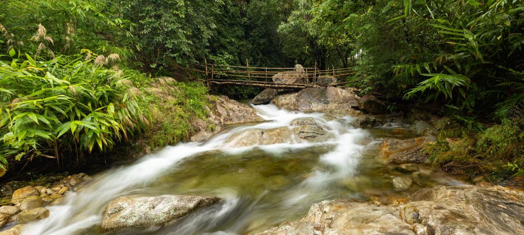 Wooden suspension bridge
