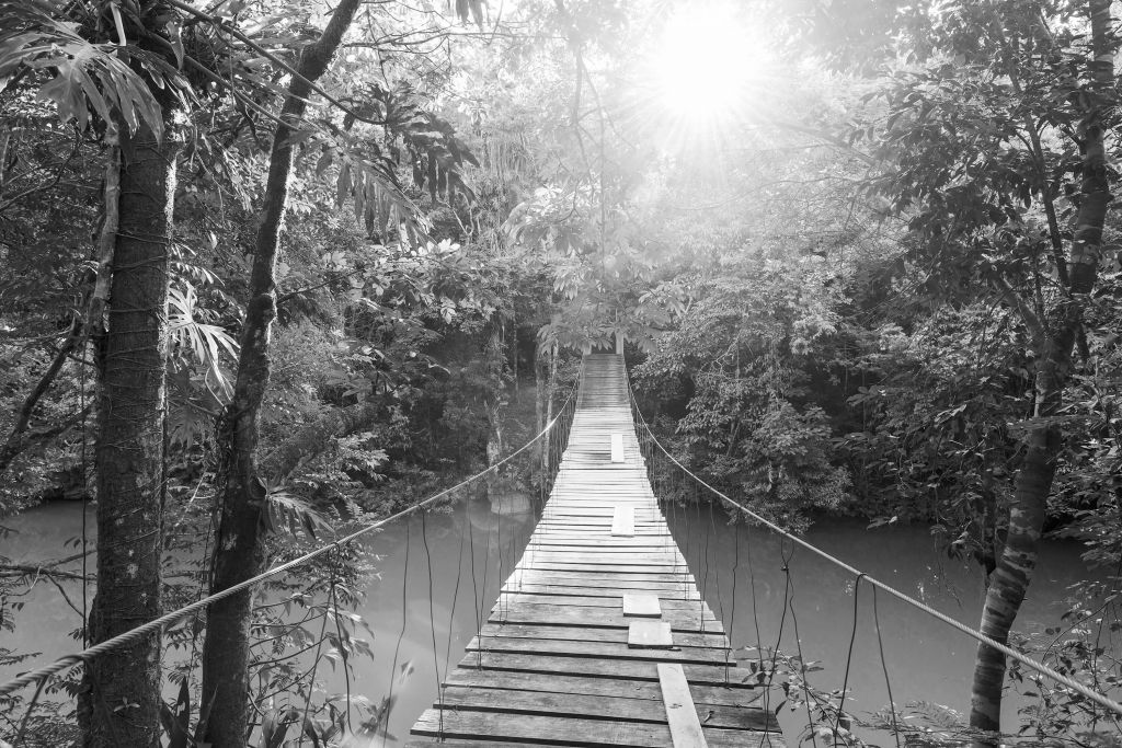 Suspension bridge black and white