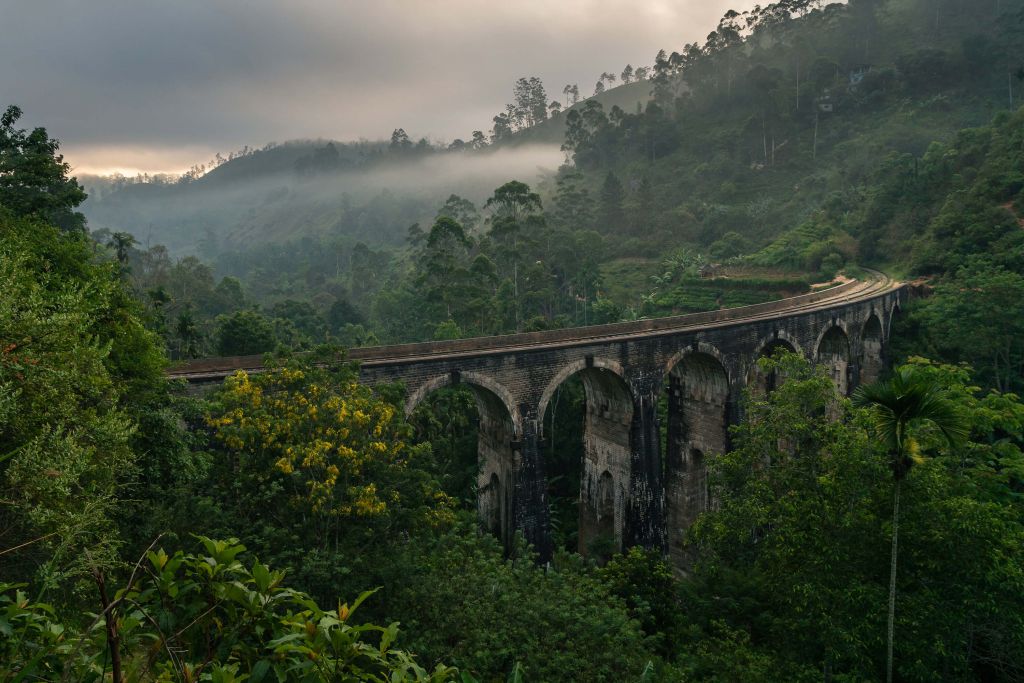 Railway bridge through jungle