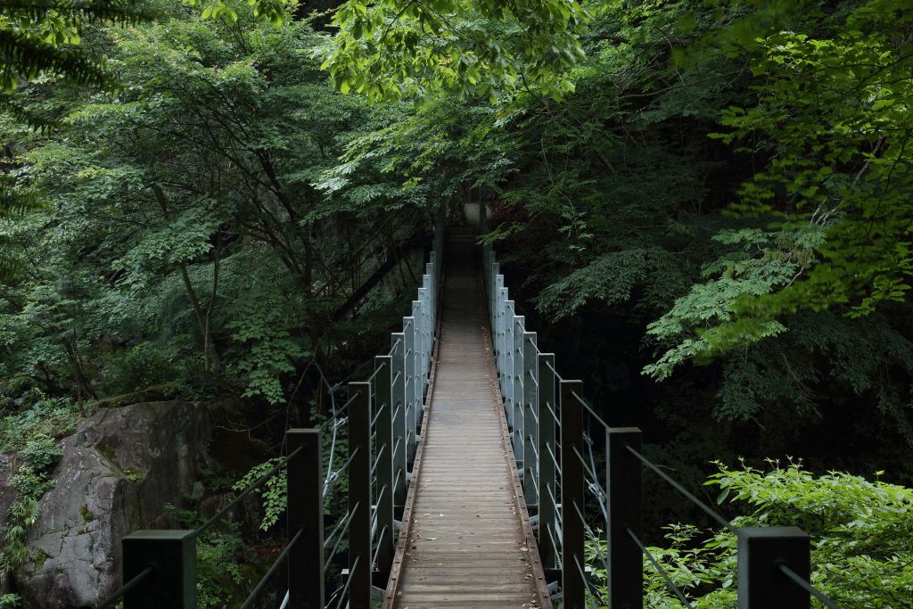 Steel footbridge