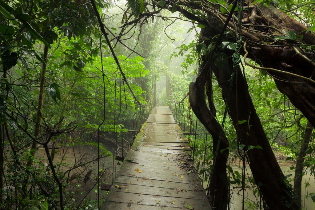 Bridge with wooden planks