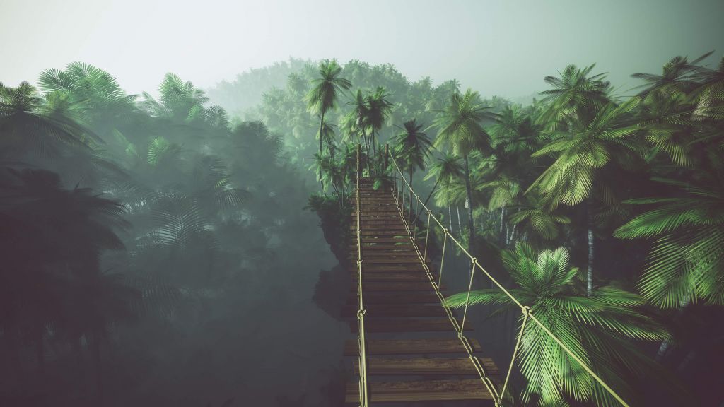 Rope bridge in the mist