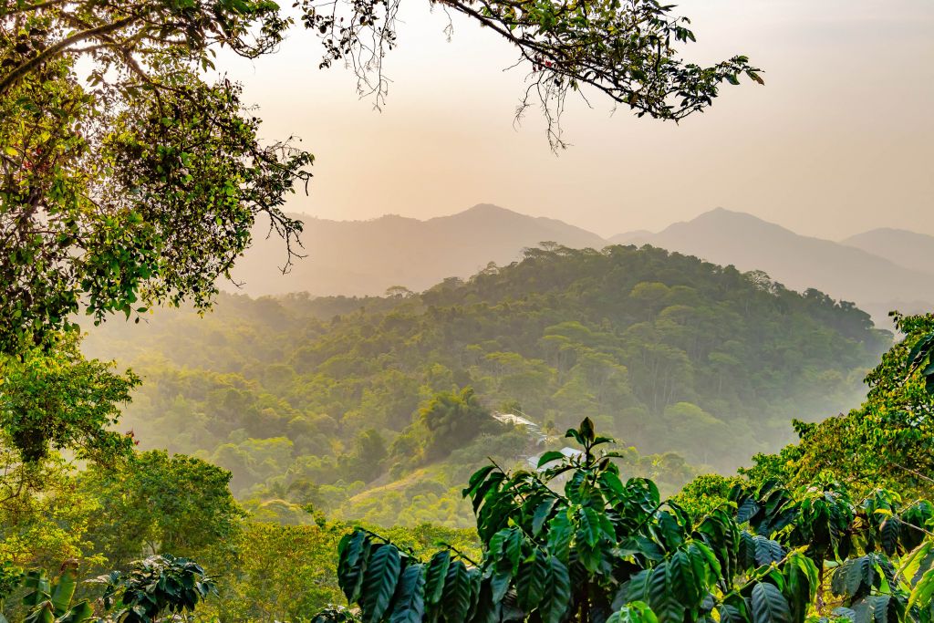 Tropical mountain landscape