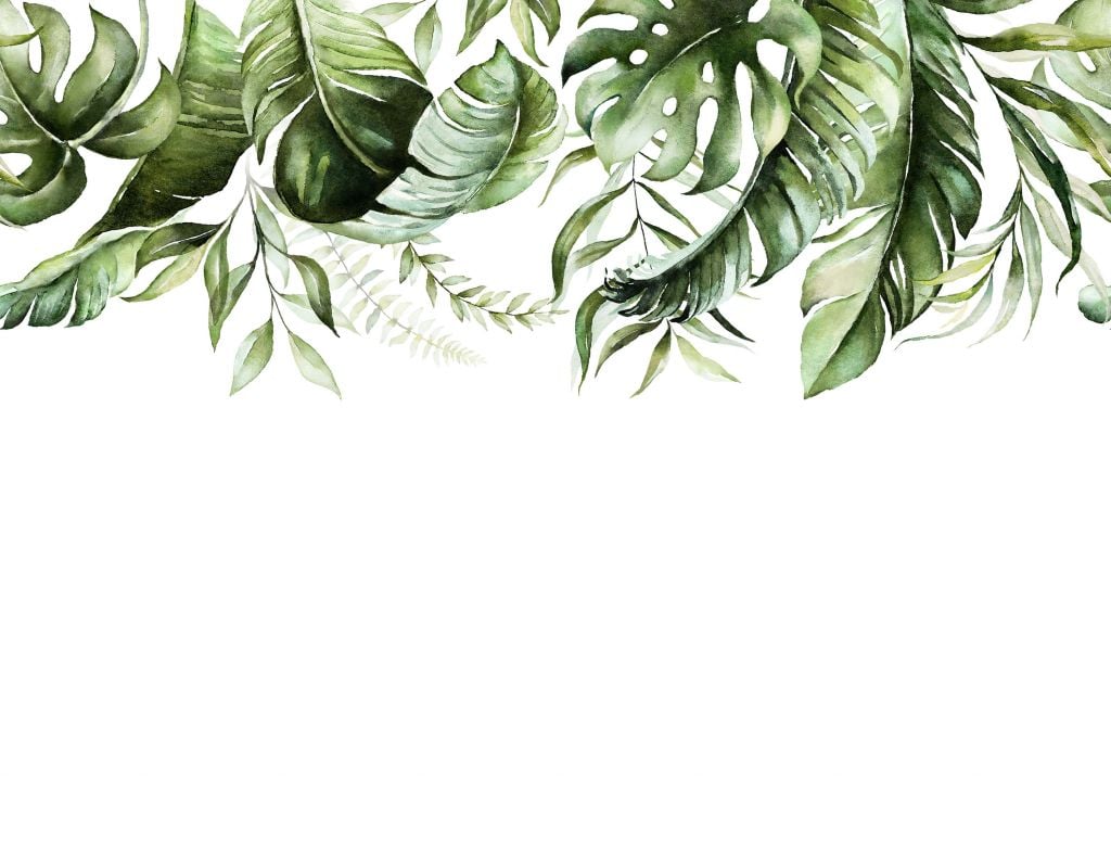 Tropical watercolour leaves