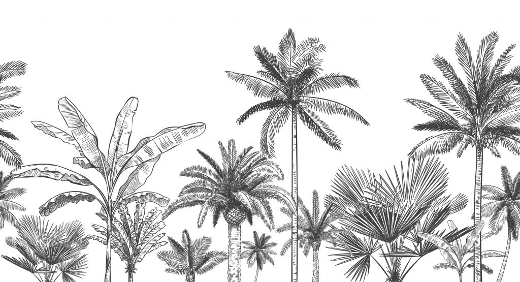 Drawn palm trees