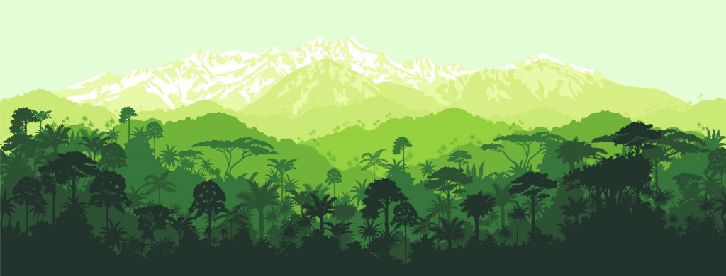 Jungle trees and high mountains