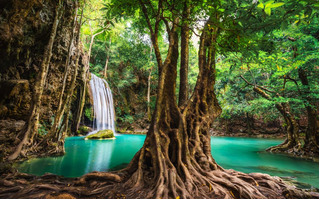 Waterfall in tropical jungle