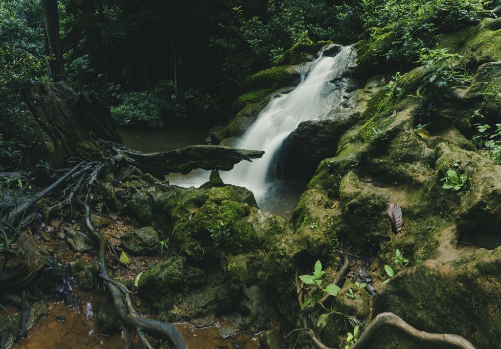 Waterfall in the rainy season