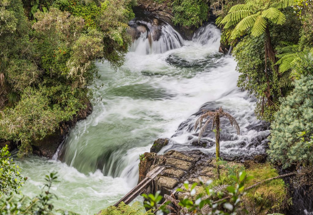 Kaituna River