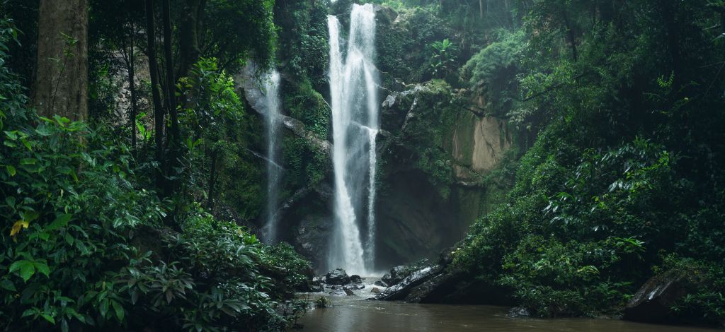 Waterfall in the nature