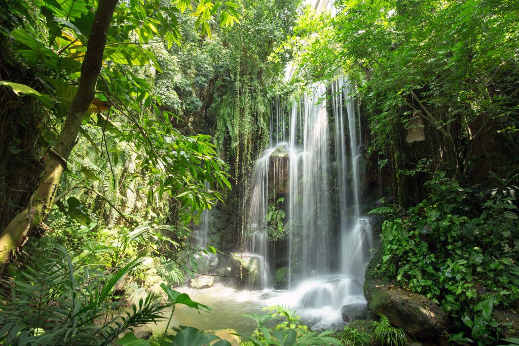 Magic waterfalls