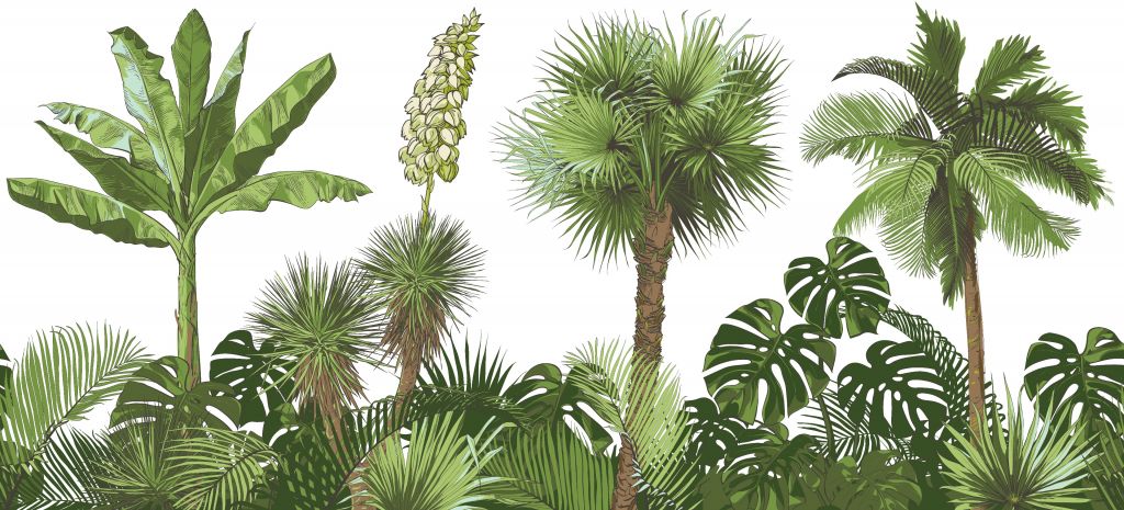 Green tropical plants