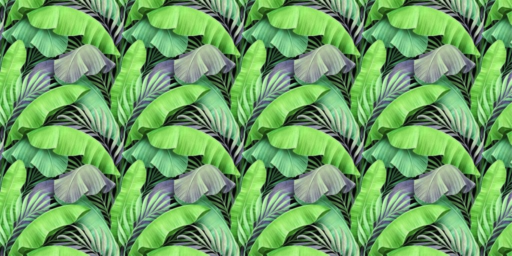 Tropical leaves