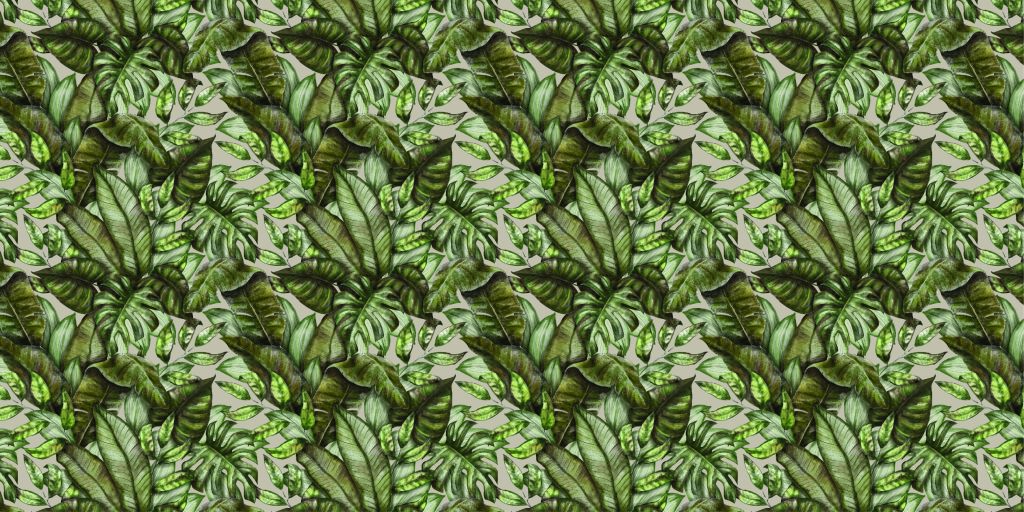 Various tropical leaves