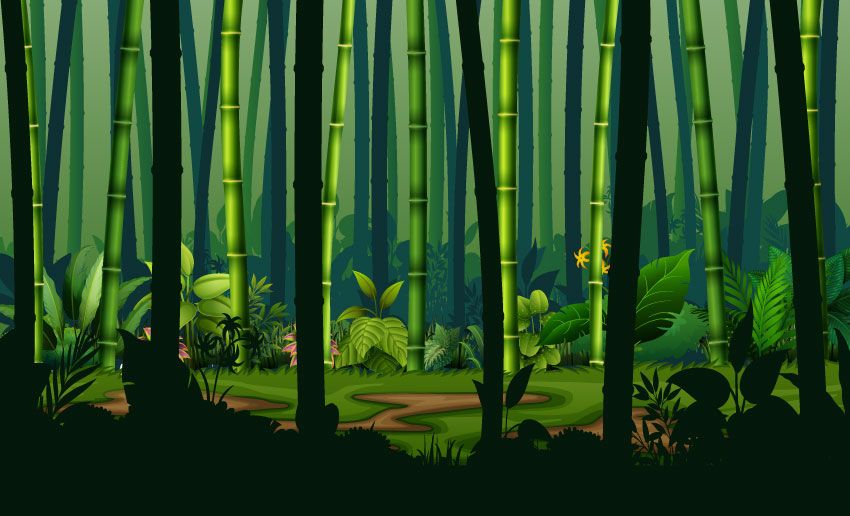 Jungle with bamboo trees