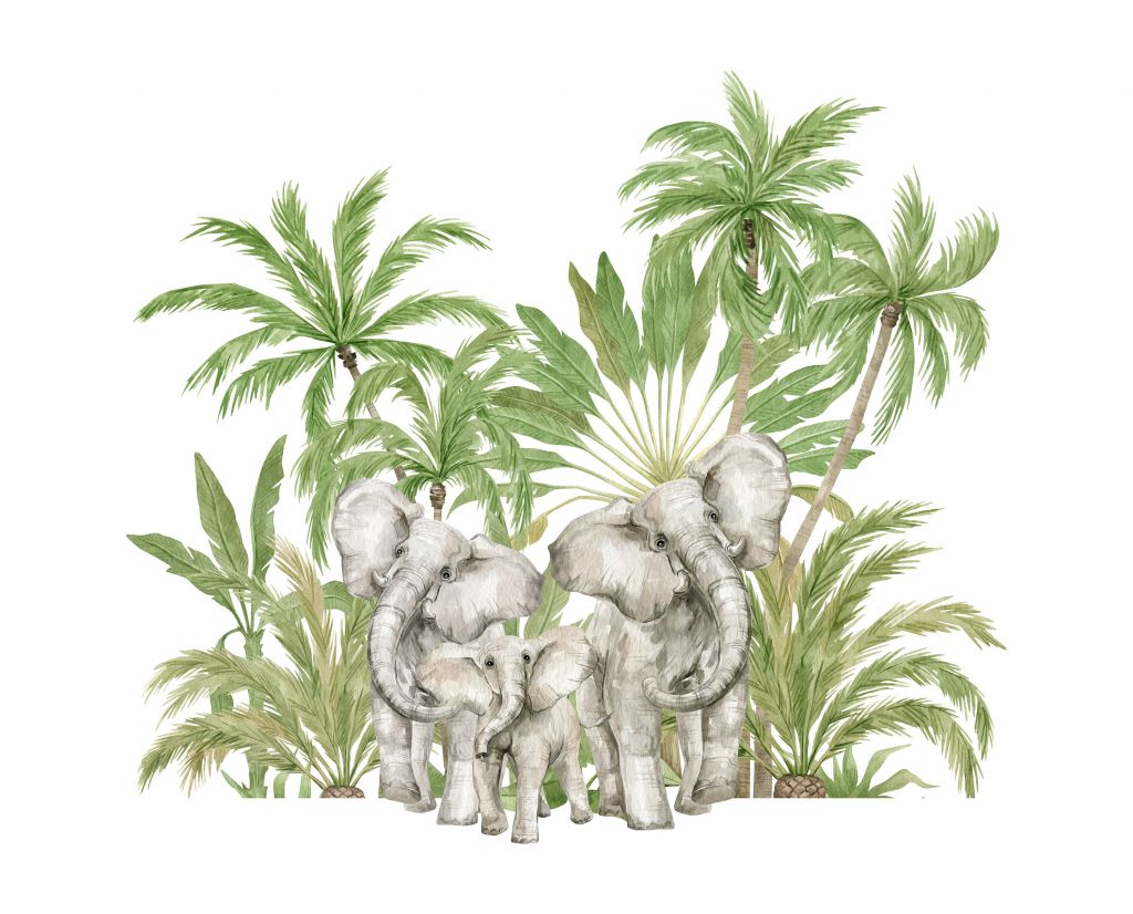 Watercolour elephants