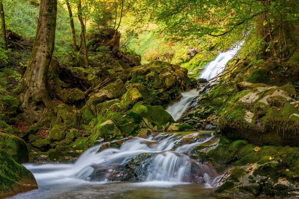 Waterfall in the middle of the forest