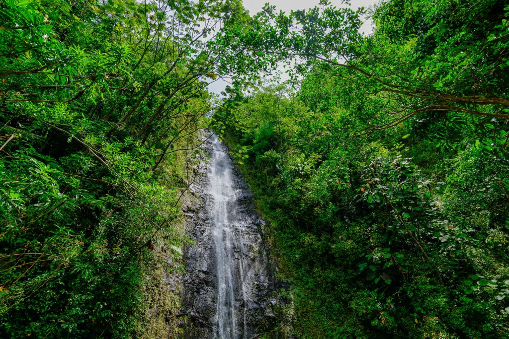 Waterfall in Hawaii