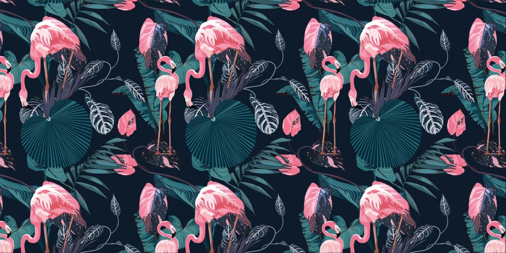 Wild pink flamingos