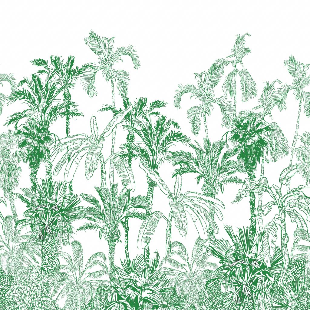Green jungle illustration