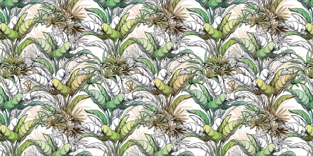 Drawn tropical leaves