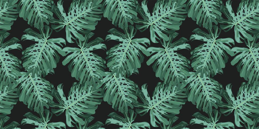 Monstera palm leaves
