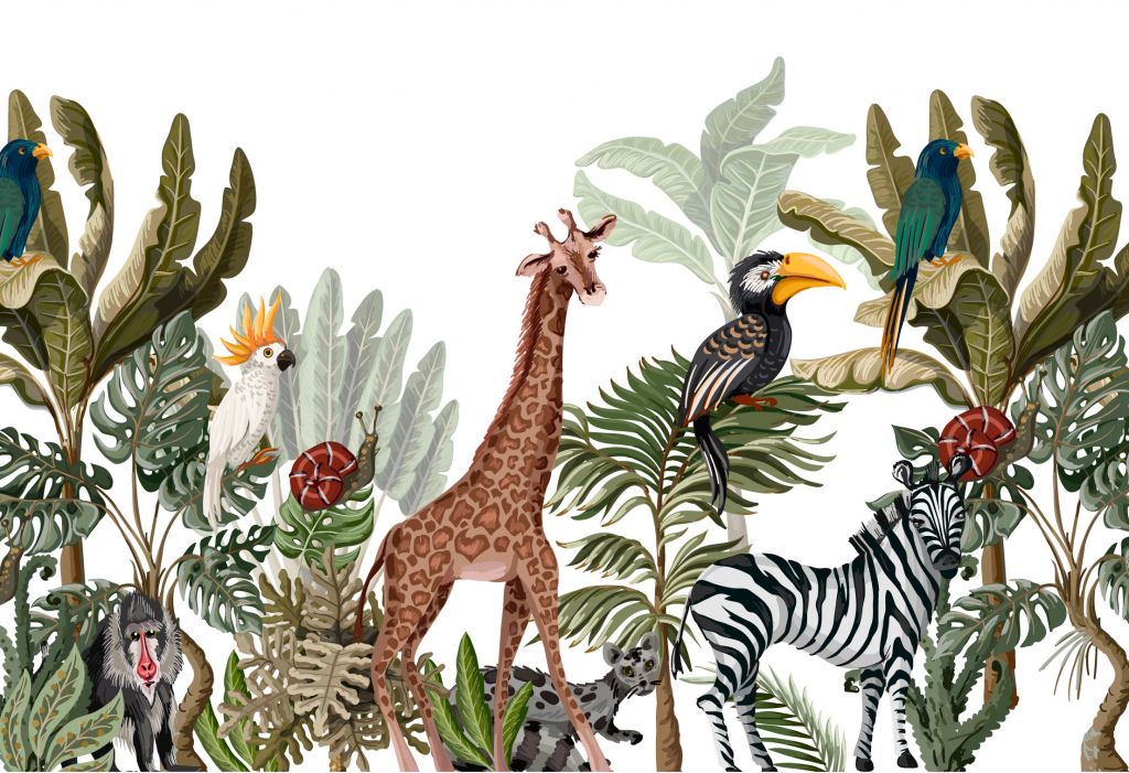 Jungle animals