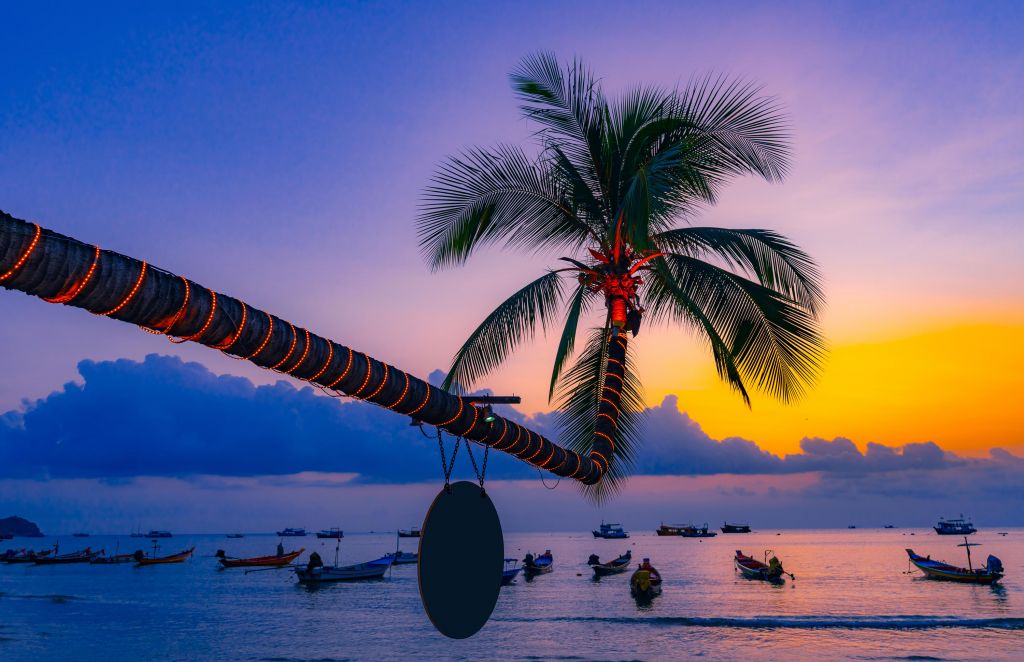 Palm tree with lights