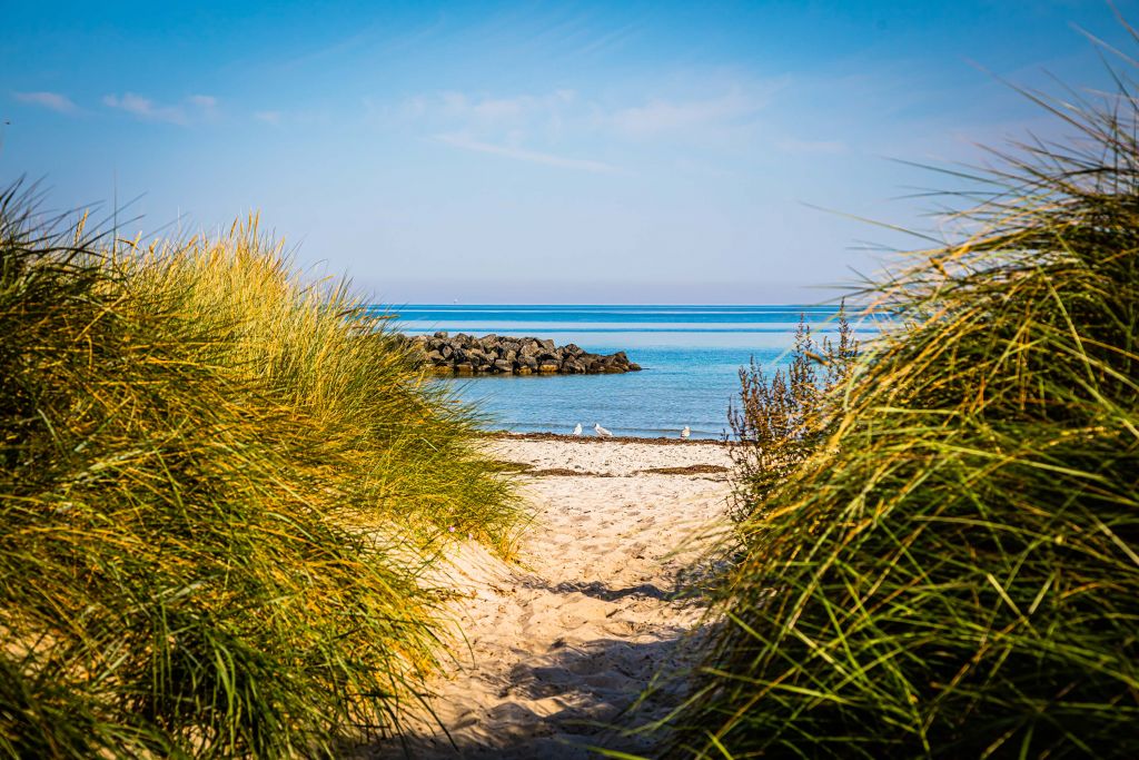 Beach at the Baltic Sea Coast