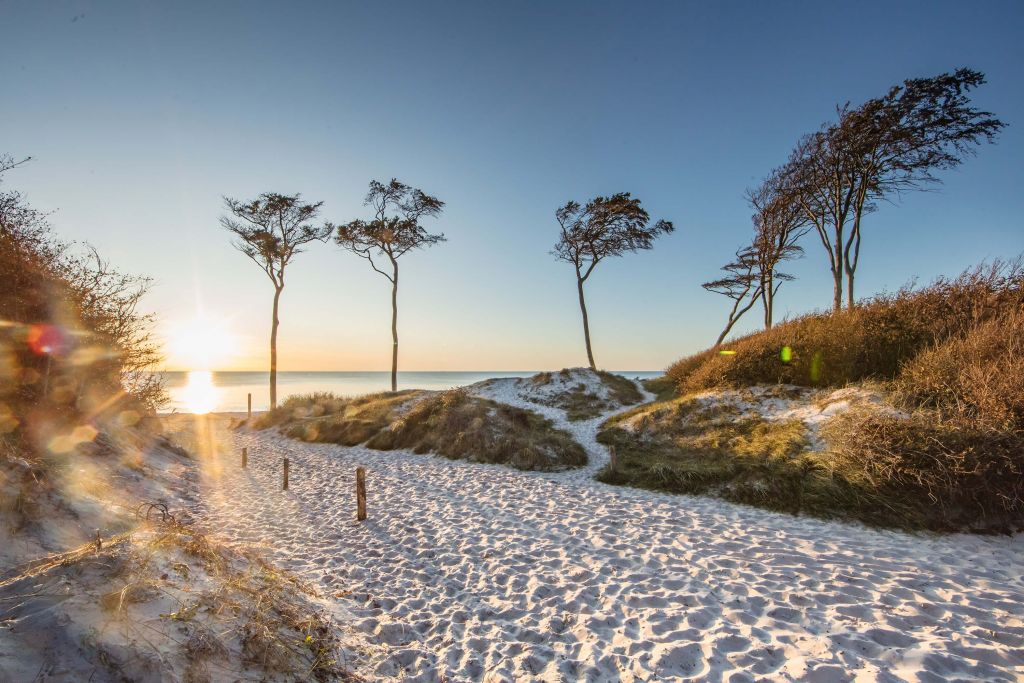 Beach at the Baltic Sea