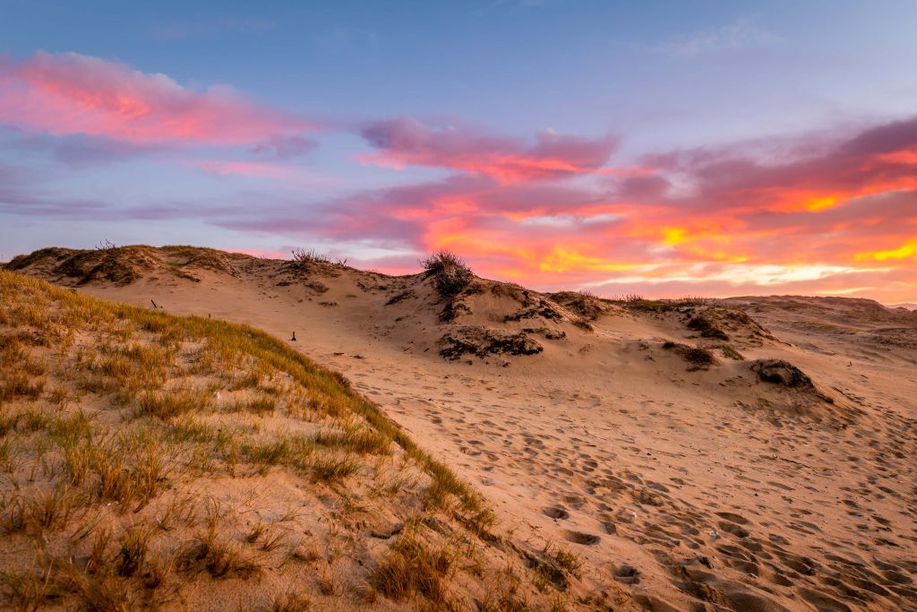 Sunset from the dunes