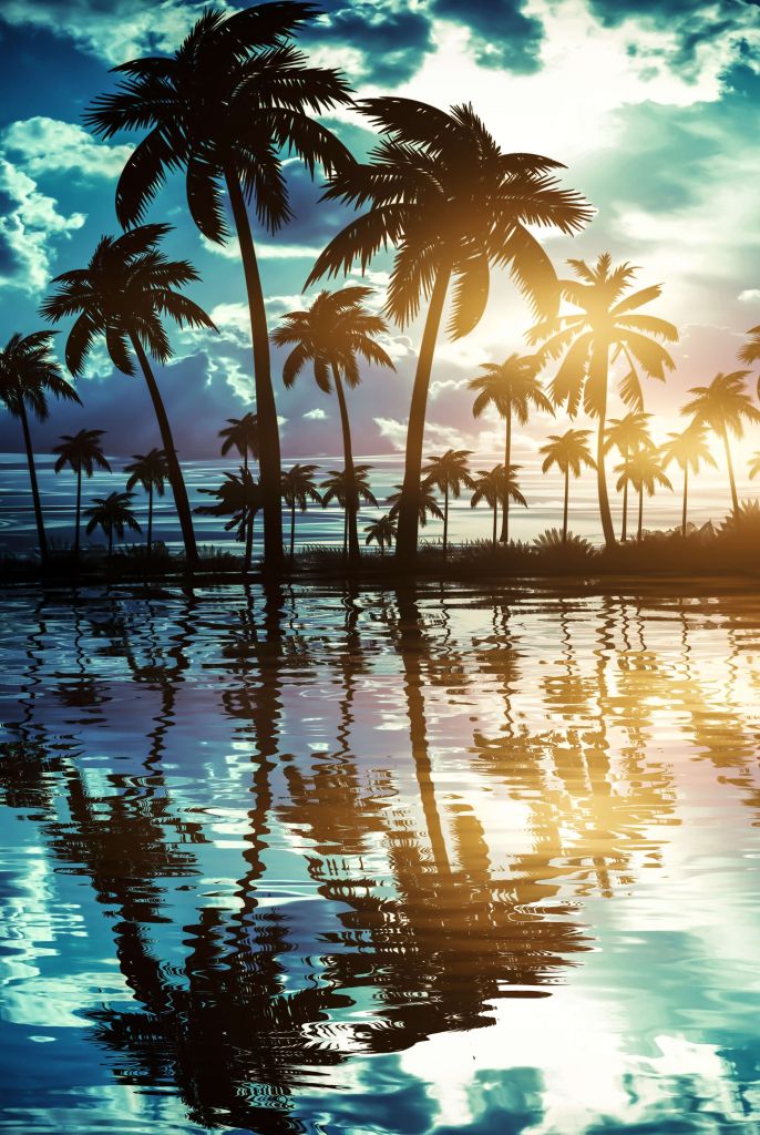 Night landscape with palm trees