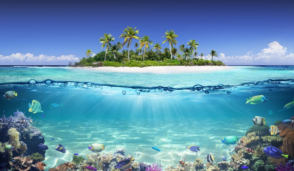 Tropical island and coral reef