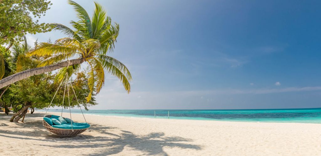 Tropical beach with swing