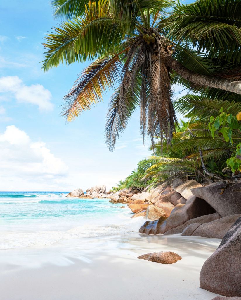 Beautiful tropical sand beach