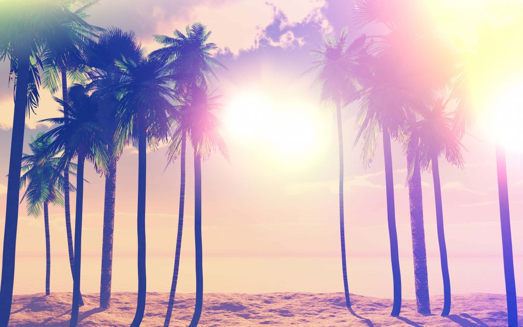 Vintage palm trees and ocean