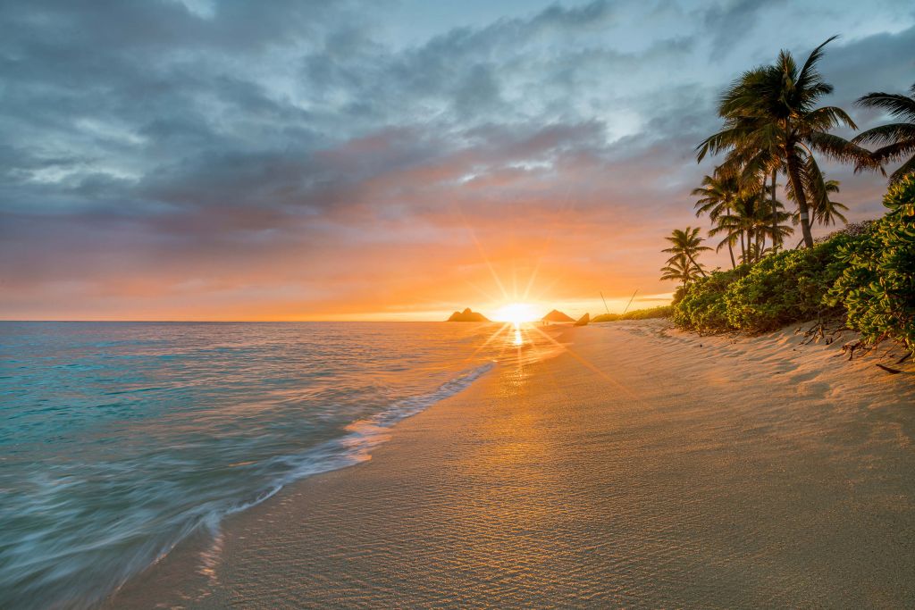 A beach in Hawaii