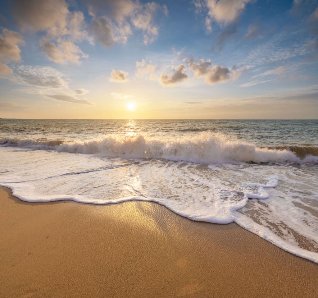 Summer on the beach